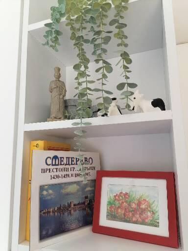 Anka Apartman Semendria Exterior foto